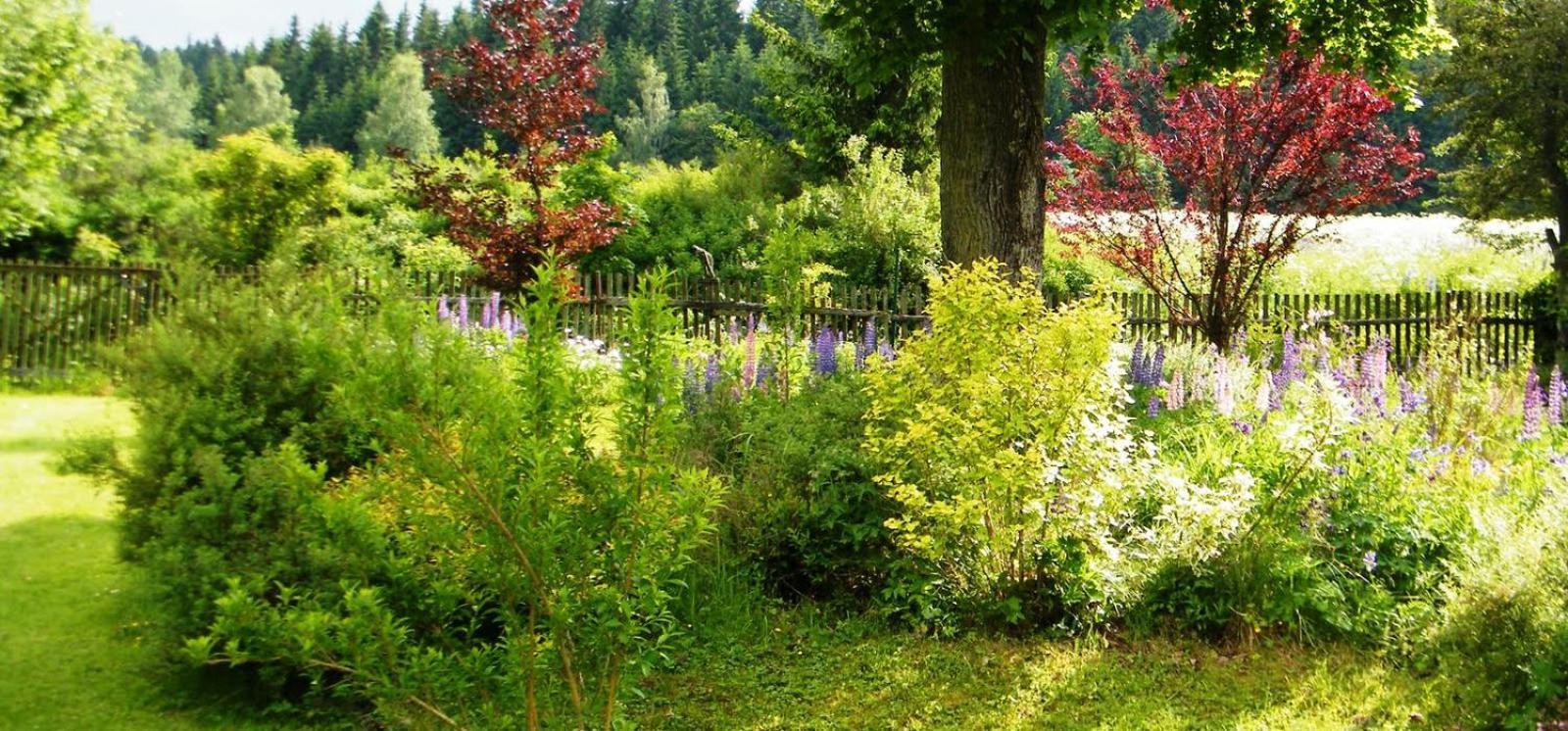 Rainmühle Villa Mariánské Lázně Dış mekan fotoğraf