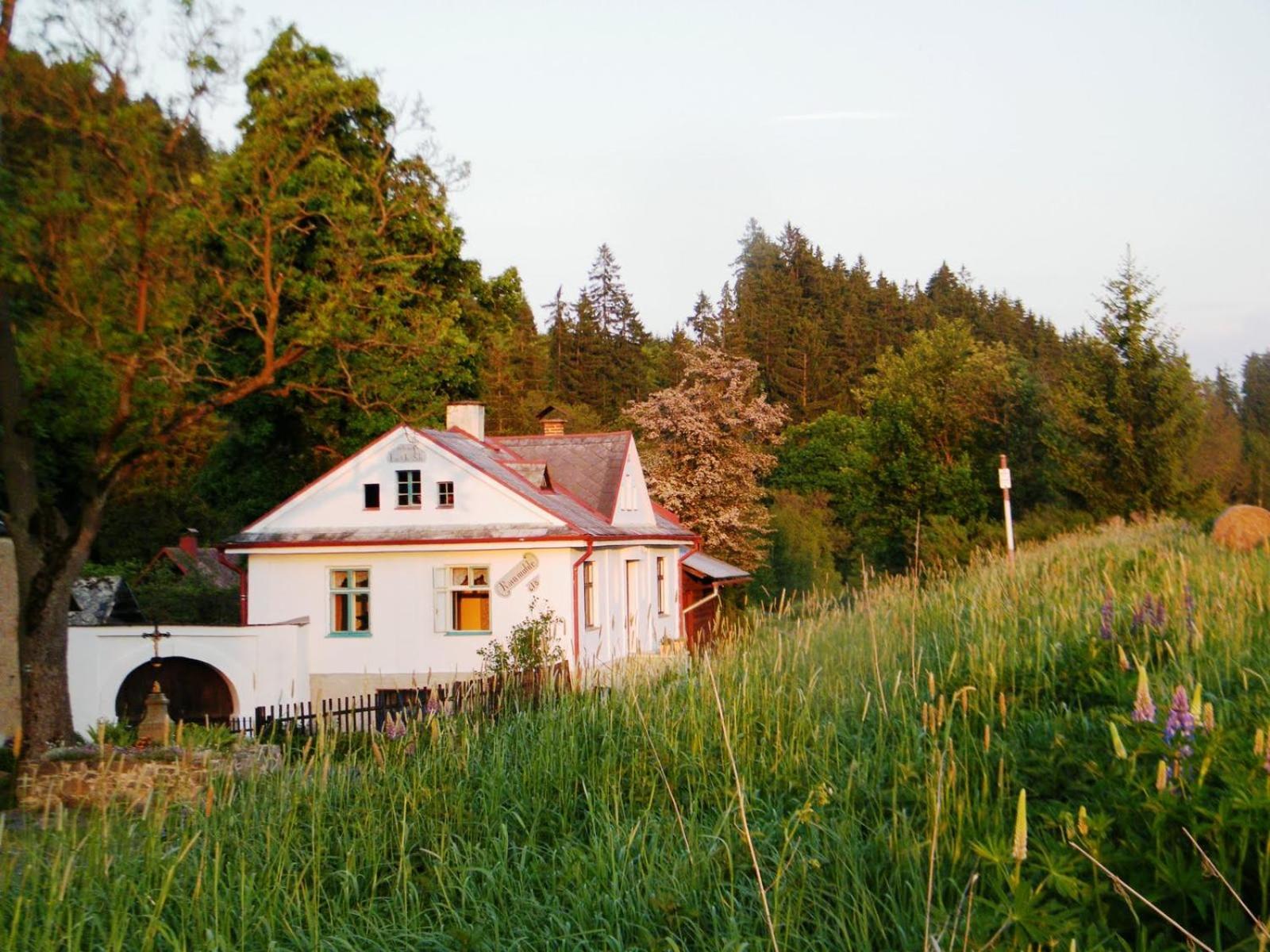Rainmühle Villa Mariánské Lázně Dış mekan fotoğraf