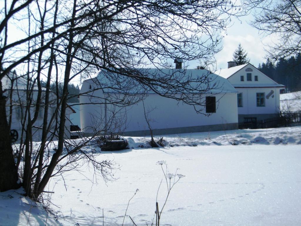 Rainmühle Villa Mariánské Lázně Dış mekan fotoğraf