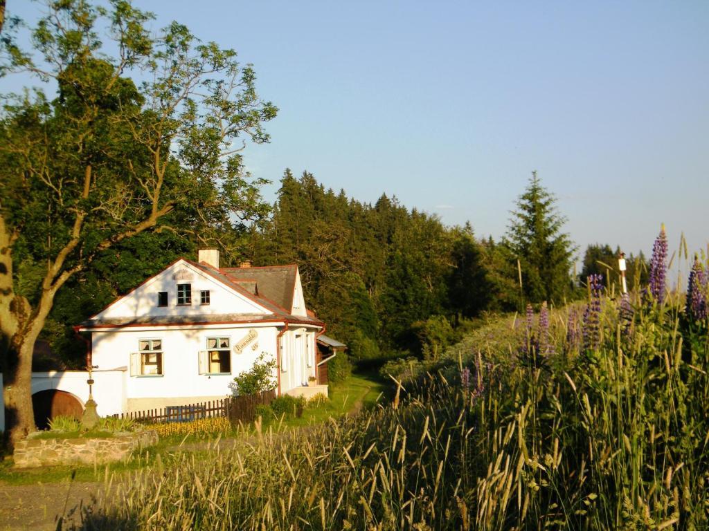 Rainmühle Villa Mariánské Lázně Dış mekan fotoğraf